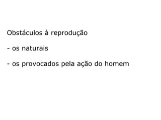 E pela miscigenação dos povos (etnias, ou
qualquer nome que se queira dar), acabará,
provavelmente, produzindo, ao longo dos
tempos, um novo biótipo compatível com o
seu estágio evolutivo.
 