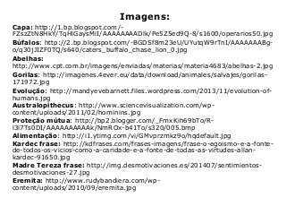 Imagens:
Capa: http://1.bp.blogspot.com/-
FZszZtN8HkY/TqHlGaysMiI/AAAAAAAADlk/Pe5Z5ed9Q-8/s1600/operarios50.jpg
Búfalos: http://2.bp.blogspot.com/-BGDSf8m23eU/UYutqW9rTnI/AAAAAAABg-
o/q30jJIZF0TQ/s640/caters_buffalo_chase_lion_0.jpg
Abelhas:
http://www.cpt.com.br/imagens/enviadas/materias/materia4683/abelhas-2.jpg
Gorilas: http://imagenes.4ever.eu/data/download/animales/salvajes/gorilas-
171972.jpg
Evolução: http://mandyevebarnett.files.wordpress.com/2013/11/evolution-of-
humans.jpg
Australopithecus: http://www.sciencevisualization.com/wp-
content/uploads/2011/02/hominins.jpg
Proteção mútua: http://bp2.blogger.com/_FmxKih69bTo/R-
l3i7Ts0DI/AAAAAAAAAAk/NmROx-b41To/s320/005.bmp
Alimentação: http://i1.ytimg.com/vi/GMvprzmkz9o/hqdefault.jpg
Kardec frase: http://kdfrases.com/frases-imagens/frase-o-egoismo-e-a-fonte-
de-todos-os-vicios-como-a-caridade-e-a-fonte-de-todas-as-virtudes-allan-
kardec-91650.jpg
Madre Tereza frase: http://img.desmotivaciones.es/201407/sentimientos-
desmotivaciones-27.jpg
Eremita: http://www.rudybandiera.com/wp-
content/uploads/2010/09/eremita.jpg
 