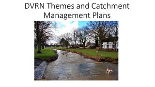 DVRN Themes and Catchment
Management Plans
 