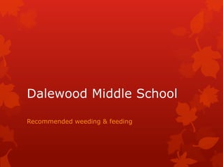 Dalewood Middle School

Recommended weeding & feeding
 