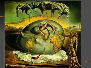El cuerpo humano
 