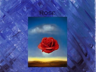 Rose
 