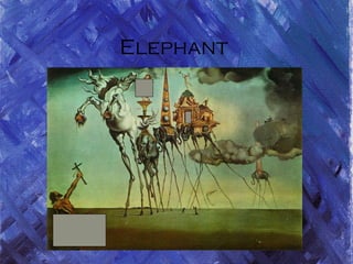 Elephant
 