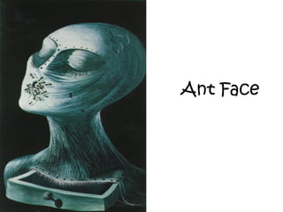 Ant Face
 