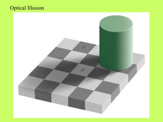 Optical Illusion 