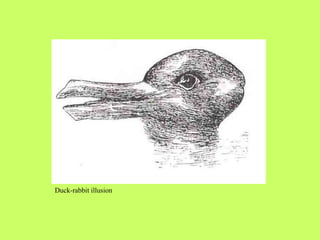 Duck-rabbit illusion 