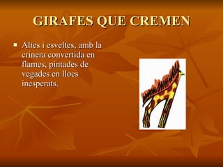 GIRAFES QUE CREMEN Altes i esveltes, amb la crinera convertida en flames, pintades de vegades en llocs inesperats. 