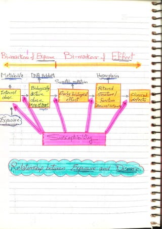 Occupational & Environmental Medicine (1).pdf