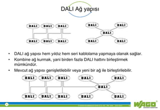 © WAGO Kontakttechnik GmbH & Co. KG PM - M.M. 23.01.2013 16
DALI Ağ yapısı
• DALI ağ yapısı hem yıldız hem seri kablolama yapmaya olanak sağlar.
• Kombine ağ kurmak, yani birden fazla DALI hattını birleştirmek
mümkündür.
• Mevcut ağ yapısı genişletilebilir veya yeni bir ağ ile birleştirilebilir.
 
