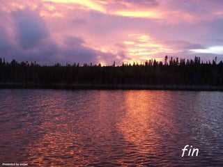 fin Presented by zorpar 