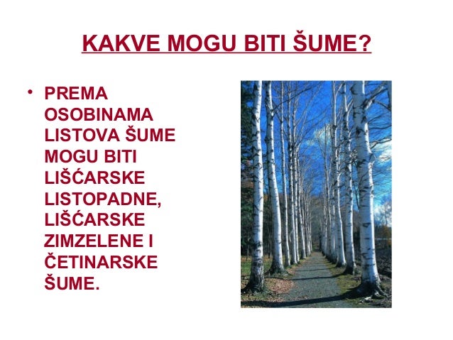 Šuma