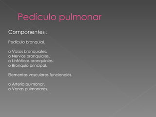 pediculo pulmonar
