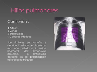 pediculo pulmonar