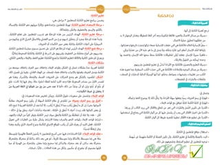  دليل الأضواء فى تدريس فروع اللغة العربية Dalil tadris