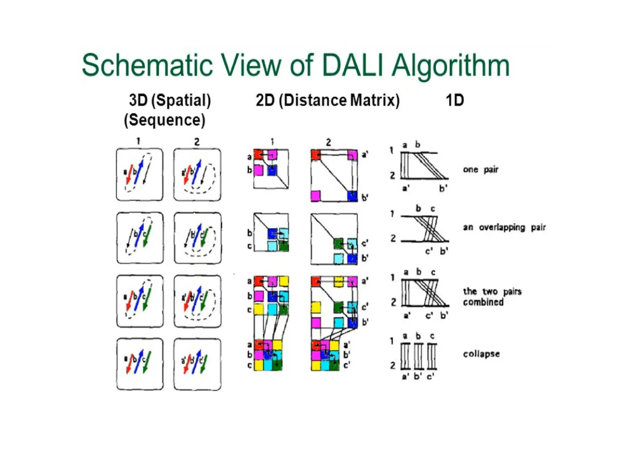 Distance-matrix ALIgnment METHOD.pptx/pdf