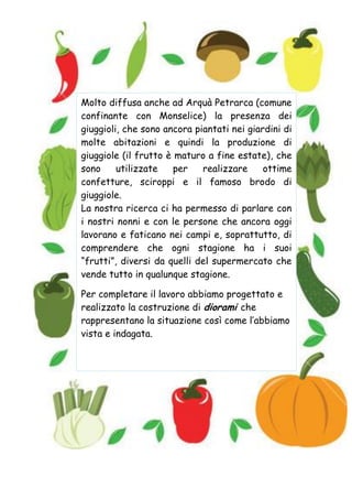 Molto diffusa anche ad Arquà Petrarca (comune
confinante con Monselice) la presenza dei
giuggioli, che sono ancora piantati nei giardini di
molte abitazioni e quindi la produzione di
giuggiole (il frutto è maturo a fine estate), che
sono utilizzate per realizzare ottime
confetture, sciroppi e il famoso brodo di
giuggiole.
La nostra ricerca ci ha permesso di parlare con
i nostri nonni e con le persone che ancora oggi
lavorano e faticano nei campi e, soprattutto, di
comprendere che ogni stagione ha i suoi
“frutti”, diversi da quelli del supermercato che
vende tutto in qualunque stagione.
Per completare il lavoro abbiamo progettato e
realizzato la costruzione di diorami che
rappresentano la situazione così come l’abbiamo
vista e indagata.
 