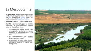 La Mesopotamia
• Il nome/dove nasce: in greco «in mezzo
ai fiumi», è la parte di terra delimitata
da Tigri (a destra) ed Eufrate e sta a est
della cosiddetta Mezzaluna fertile.
• Quando : 10000 a. C. fino al 3000 circa.
• Perché e come si sviluppa: La fertilità
favorisce la concentrazione umana
attorno alle valli dei fiumi:
1. Si diffondono prima cereali, poi
orzo, piselli e lenticchie -> si passa
da caccia ad agricoltura (8000-7000
a.C.)
2. Si addomesticano gli animali
(capre, pecore, maiali)
3. Si controlla il flusso delle acque,
attraverso cisterne e canali per
l’irrigazione.
 