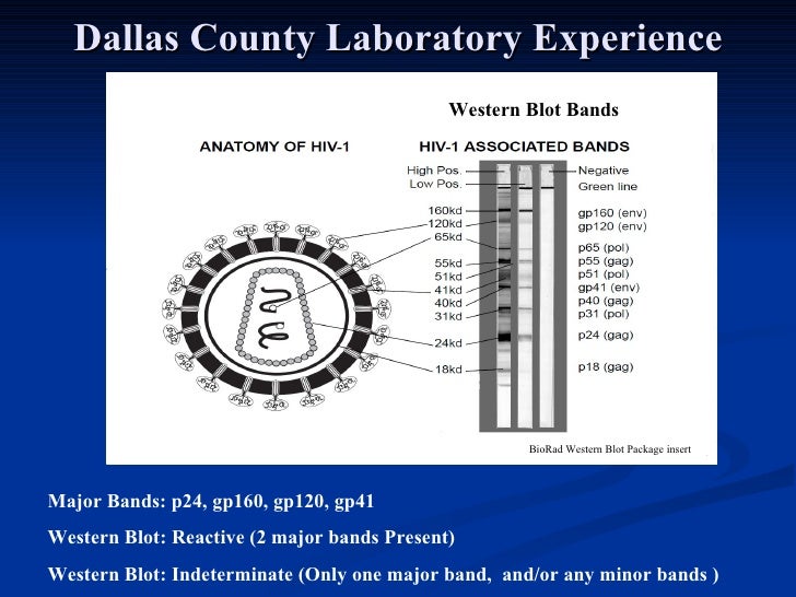 Diver T Program Dallas County Records