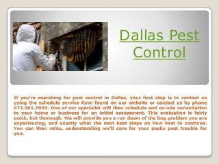 If you're searching for pest control in Dallas, your first step is to contact us
using the schedule service form found on our website or contact us by phone
972.301.7050. One of our specialist will then schedule and on-site consultation
to your home or business for an initial assessment. This evaluation is fairly
quick, but thorough. We will provide you a run down of the bug problem you are
experiencing, and exactly what the next best steps on how best to continue.
You can then relax, understanding we'll care for your pesky pest trouble for
you.
Dallas Pest
Control
 