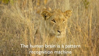 The human brain is a pattern
recognition machine
 