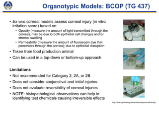 Bcop Test OECD Webinar | OECD Alternatives to in vivo eye irritation testing ...