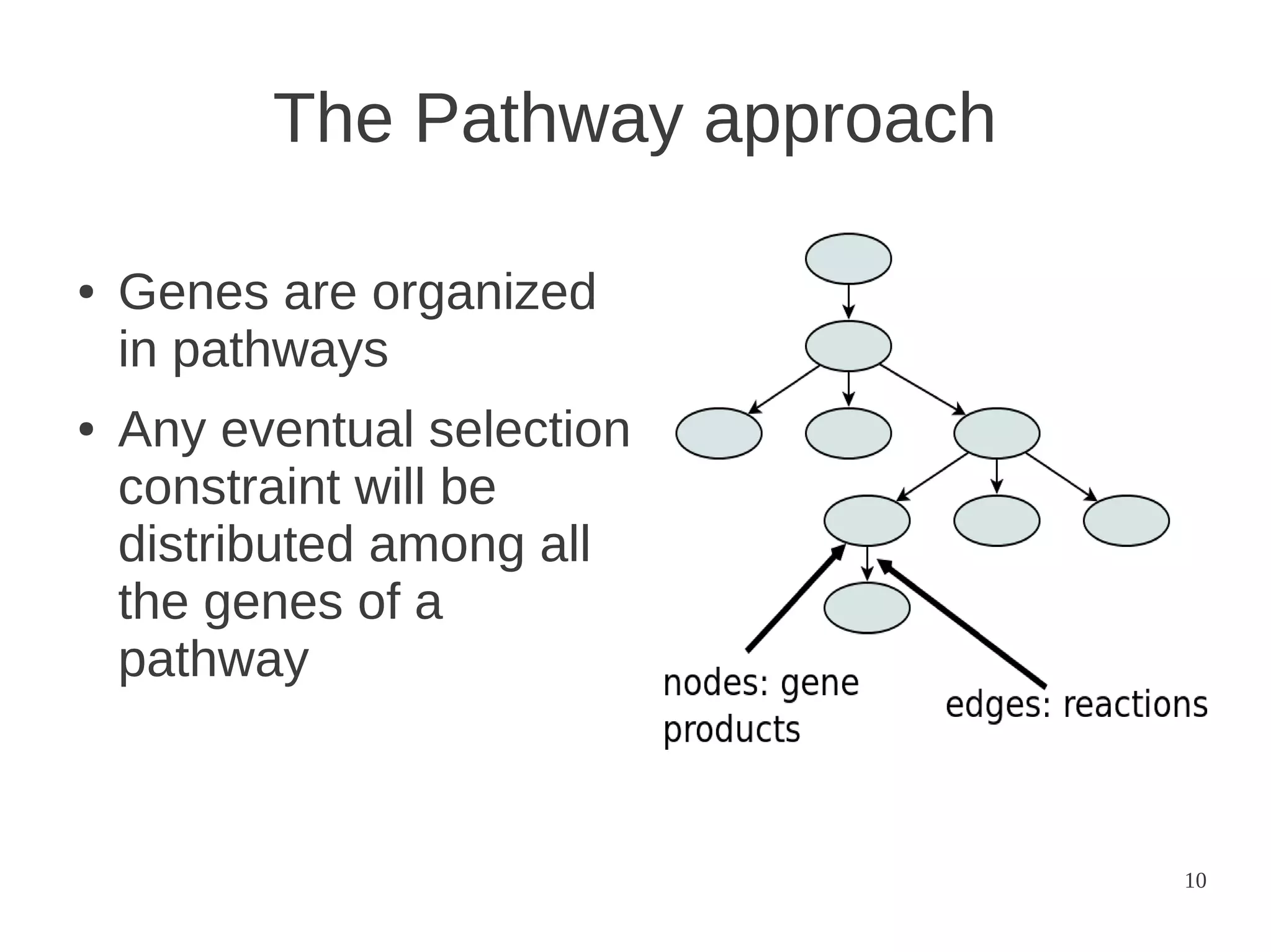 The Pathway approach
●

●

Genes are organized
in pathways
Any eventual selection
constraint will be
distributed among all
the genes of a
pathway

10

 