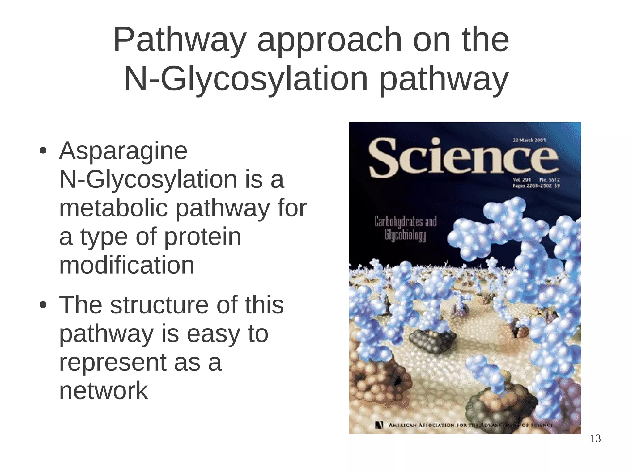 Pathway approach on the
N-Glycosylation pathway
●

●

Asparagine
N-Glycosylation is a
metabolic pathway for
a type of protein
modification
The structure of this
pathway is easy to
represent as a
network
13

 