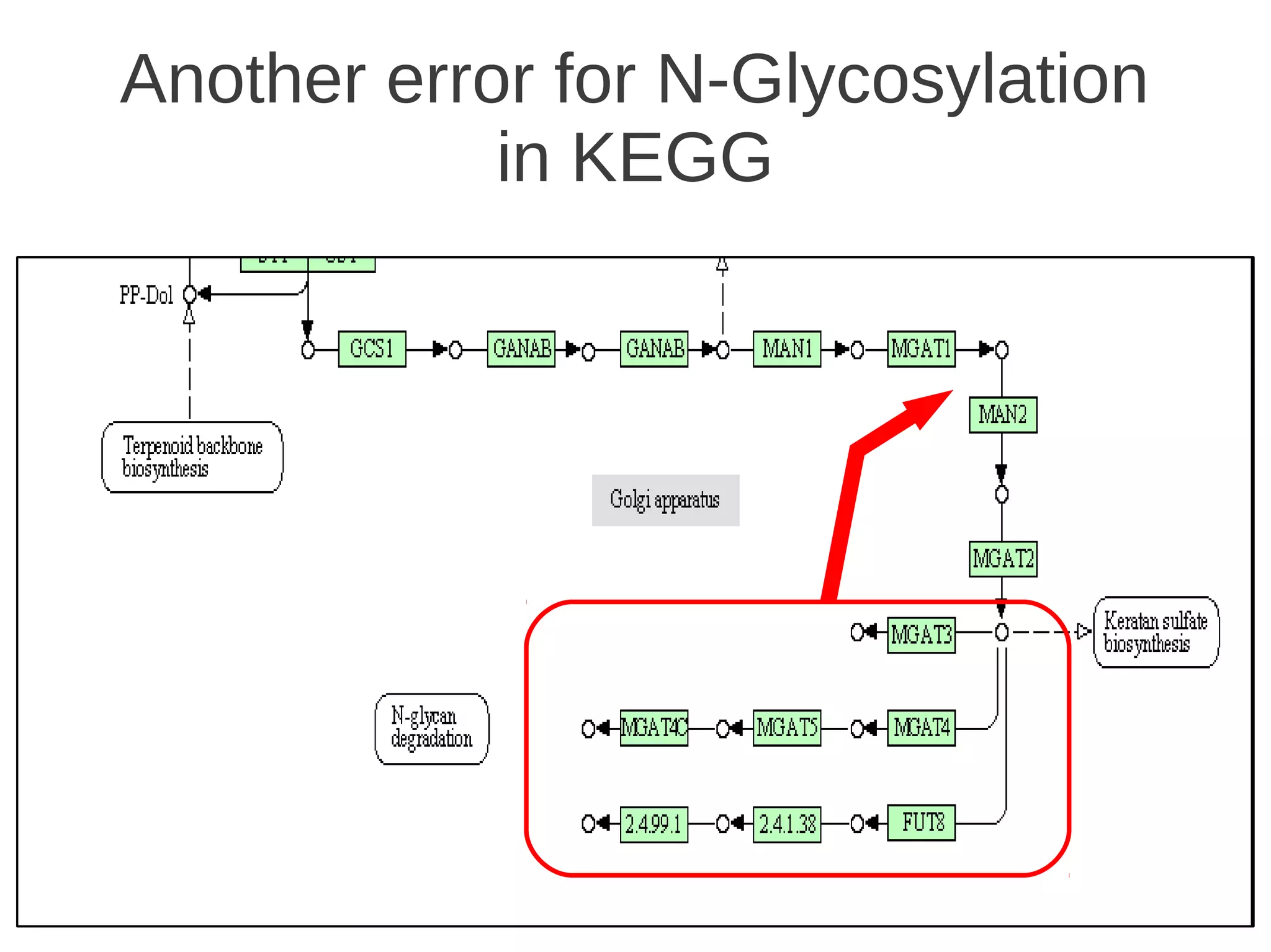 Another error for N-Glycosylation
in KEGG

21

 