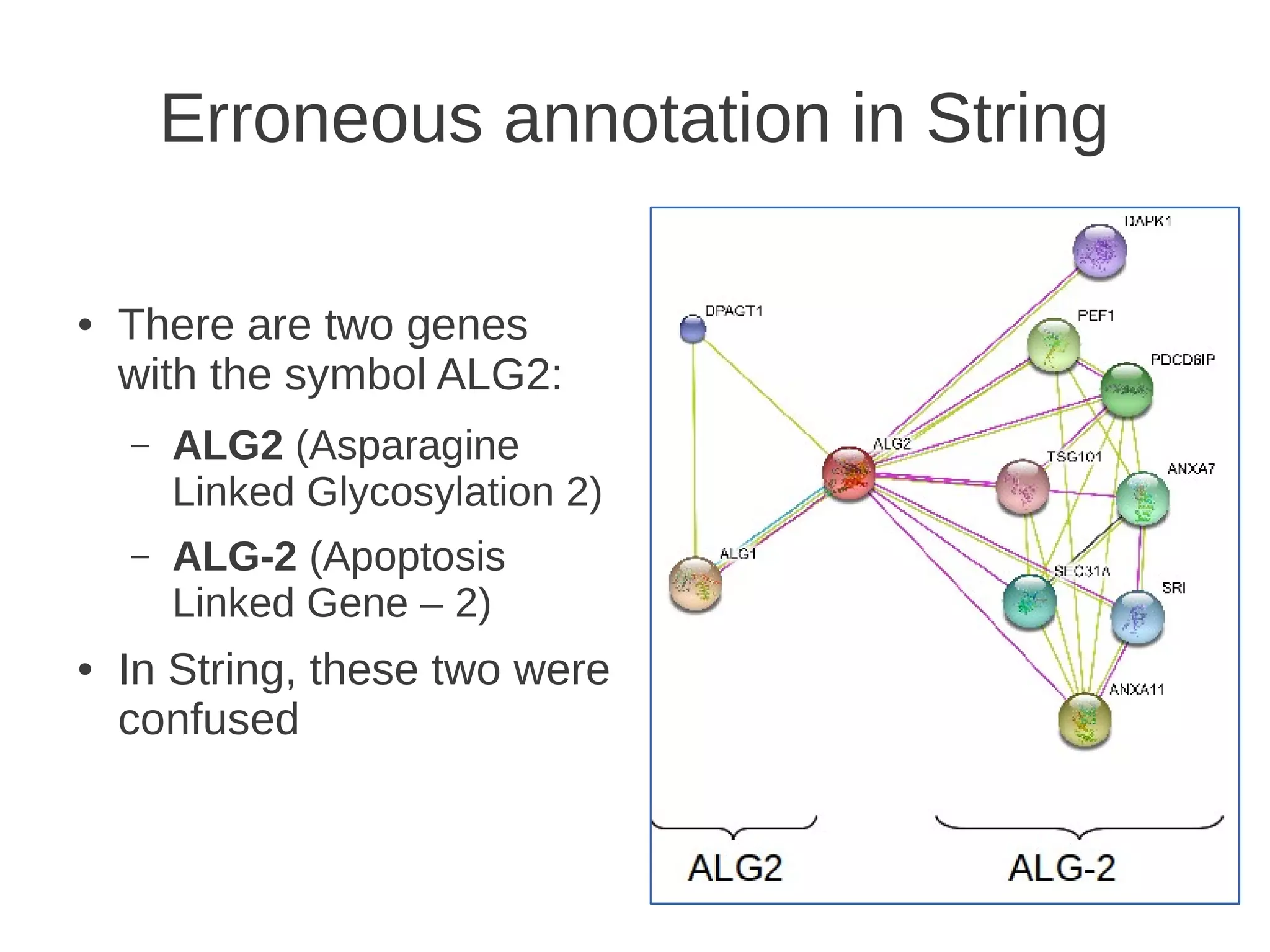 Erroneous annotation in String
●

There are two genes
with the symbol ALG2:
–

–

●

ALG2 (Asparagine
Linked Glycosylation 2)
ALG-2 (Apoptosis
Linked Gene – 2)

In String, these two were
confused

22

 