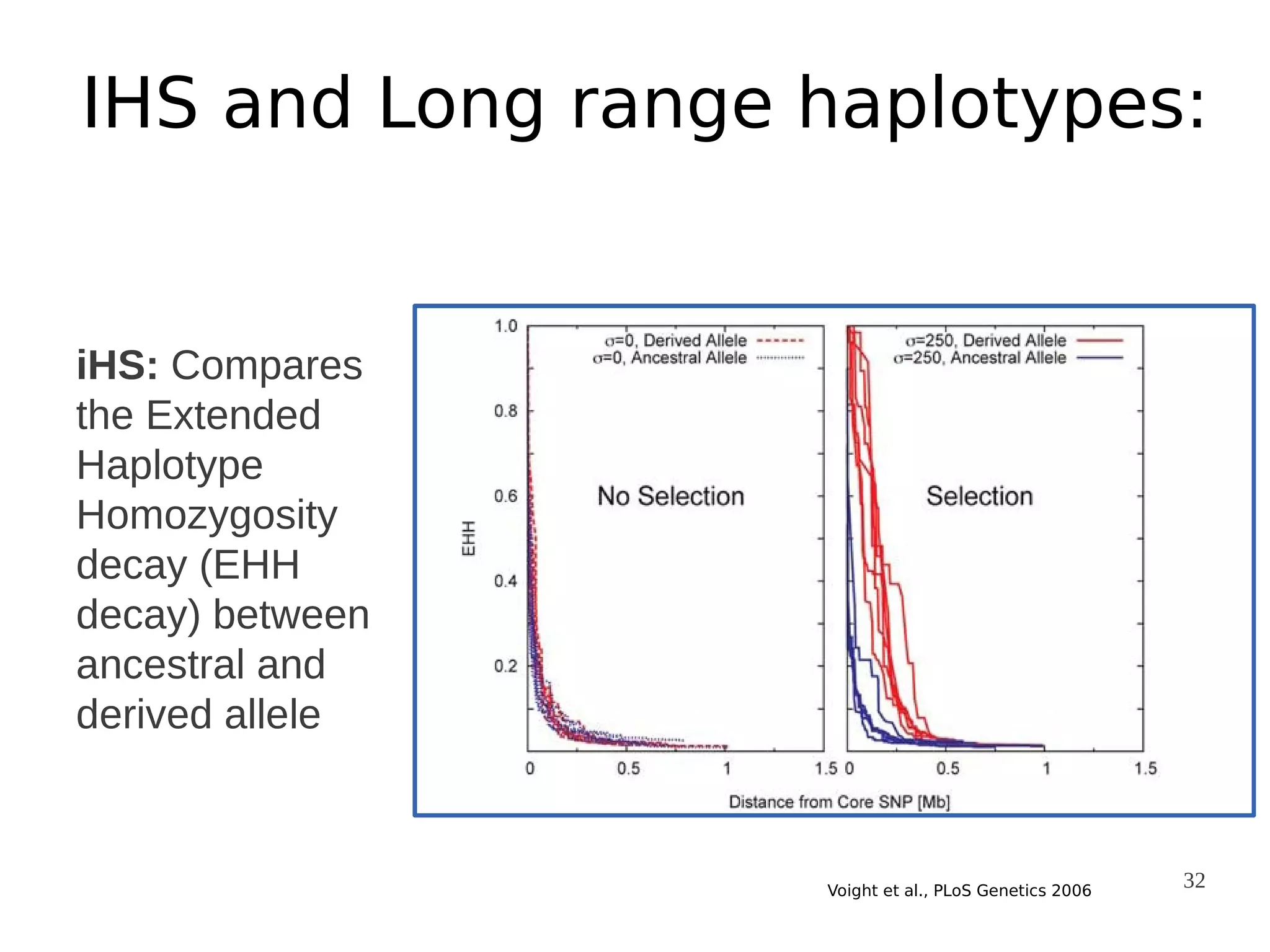 IHS and Long range haplotypes:

iHS: Compares
the Extended
Haplotype
Homozygosity
decay (EHH
decay) between
ancestral and
derived allele

Voight et al., PLoS Genetics 2006

32

 