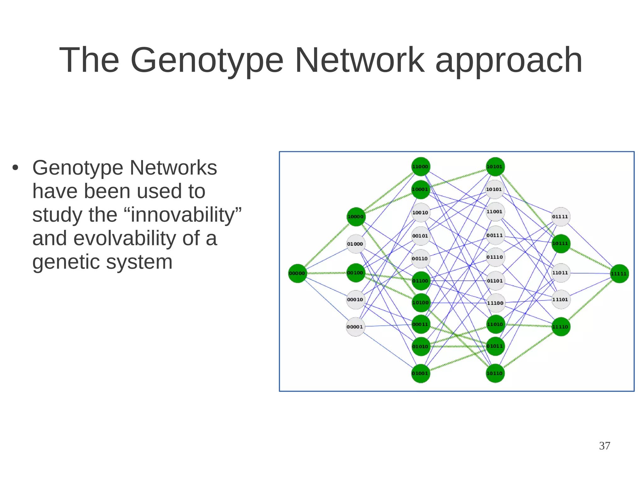 The Genotype Network approach
●

Genotype Networks
have been used to
study the “innovability”
and evolvability of a
genetic system

37

 
