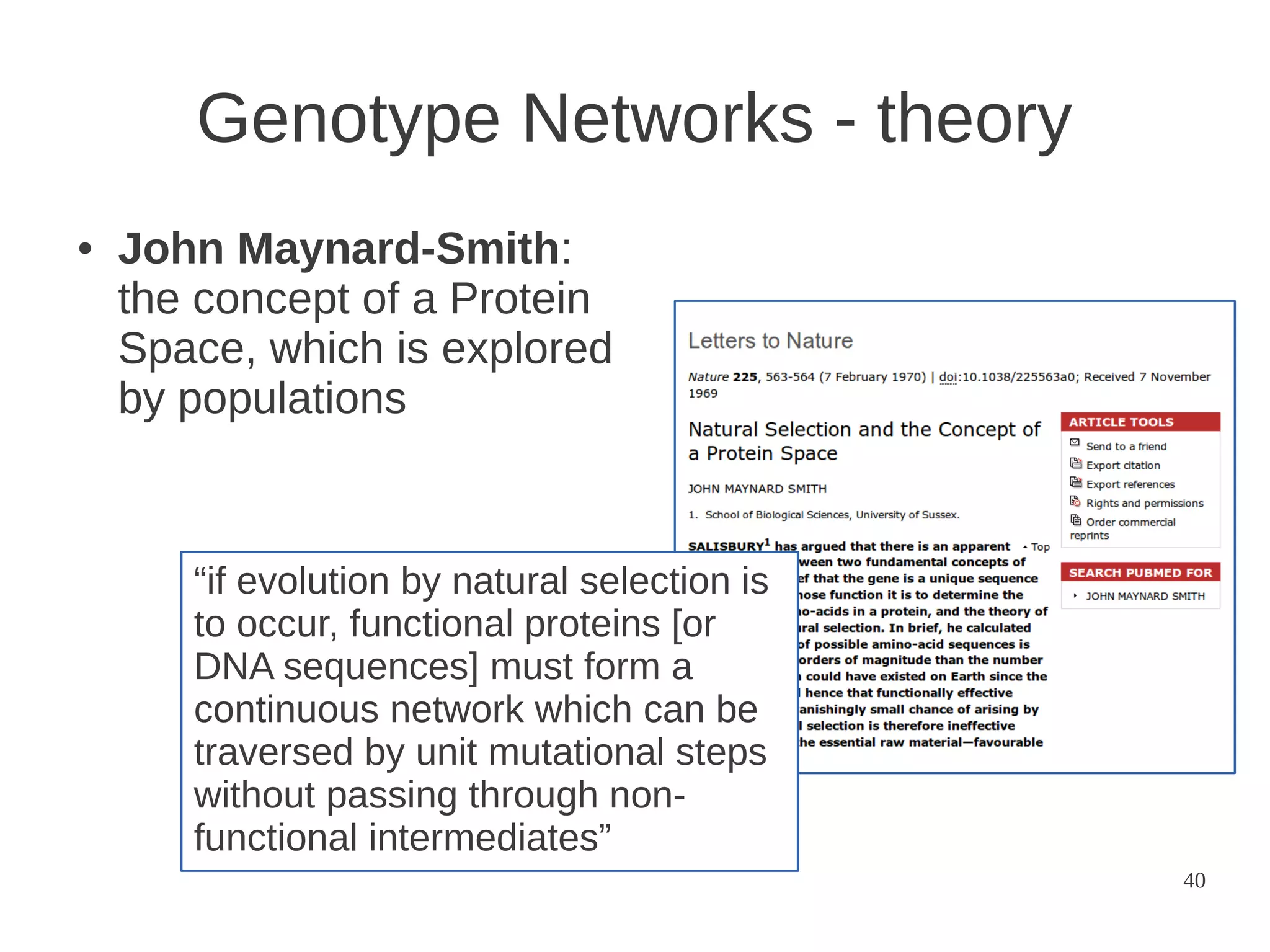 Genotype Networks - theory
●

John Maynard-Smith:
the concept of a Protein
Space, which is explored
by populations

“if evolution by natural selection is
to occur, functional proteins [or
DNA sequences] must form a
continuous network which can be
traversed by unit mutational steps
without passing through nonfunctional intermediates”
40

 