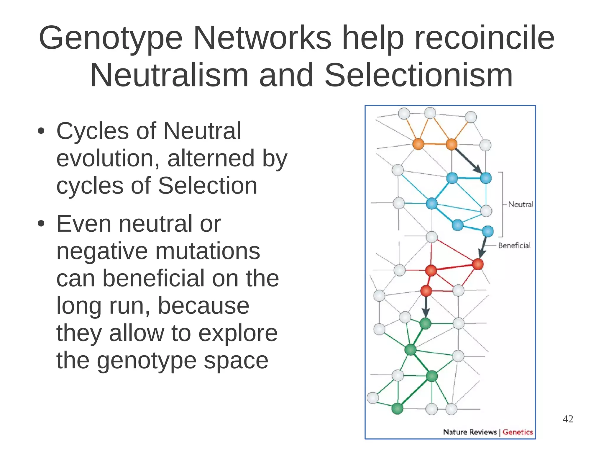 Genotype Networks help recoincile
Neutralism and Selectionism
●

●

Cycles of Neutral
evolution, alterned by
cycles of Selection
Even neutral or
negative mutations
can beneficial on the
long run, because
they allow to explore
the genotype space
42

 