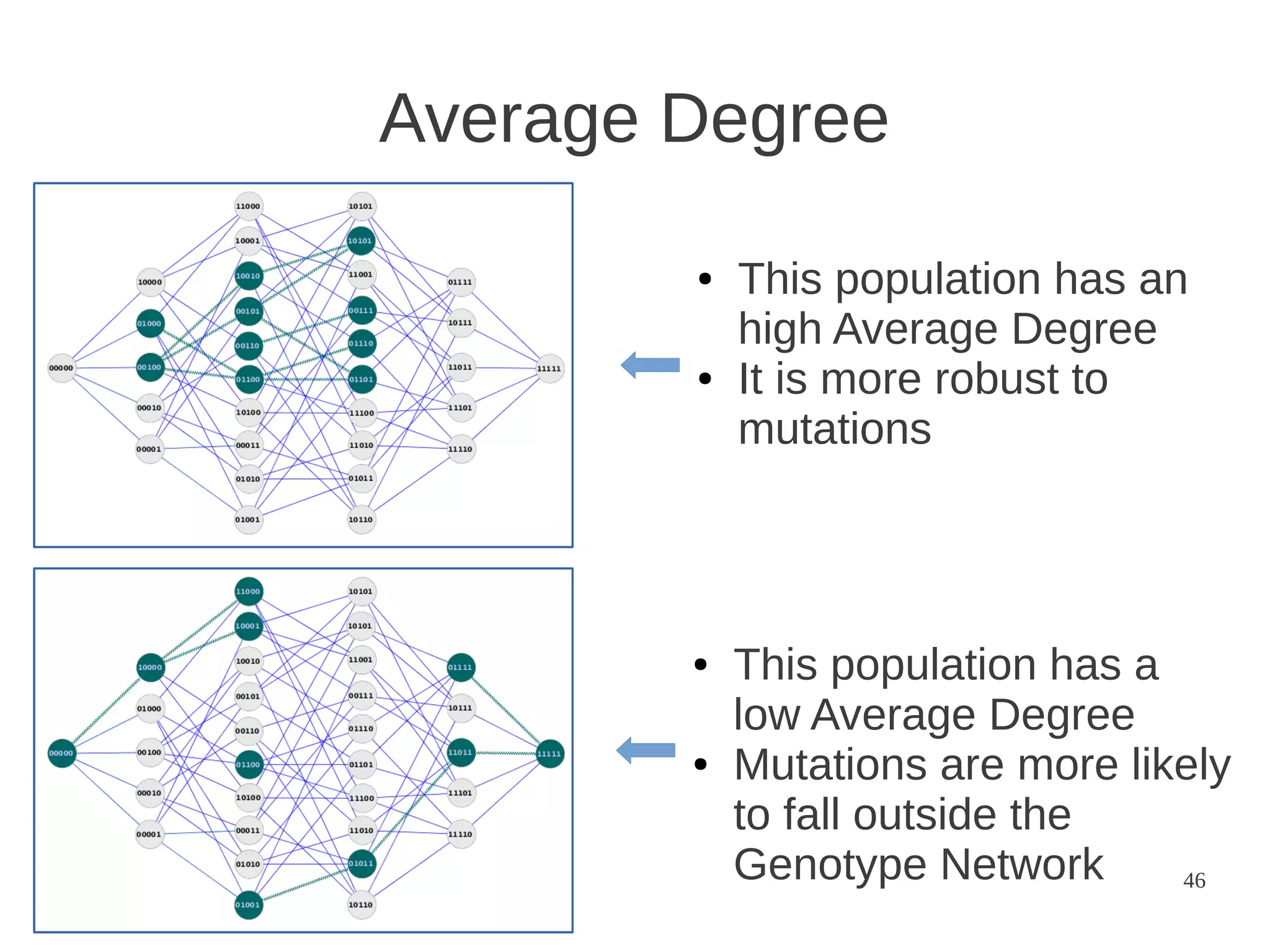 Average Degree
●

●

●

●

This population has an
high Average Degree
It is more robust to
mutations

This population has a
low Average Degree
Mutations are more likely
to fall outside the
Genotype Network
46

 