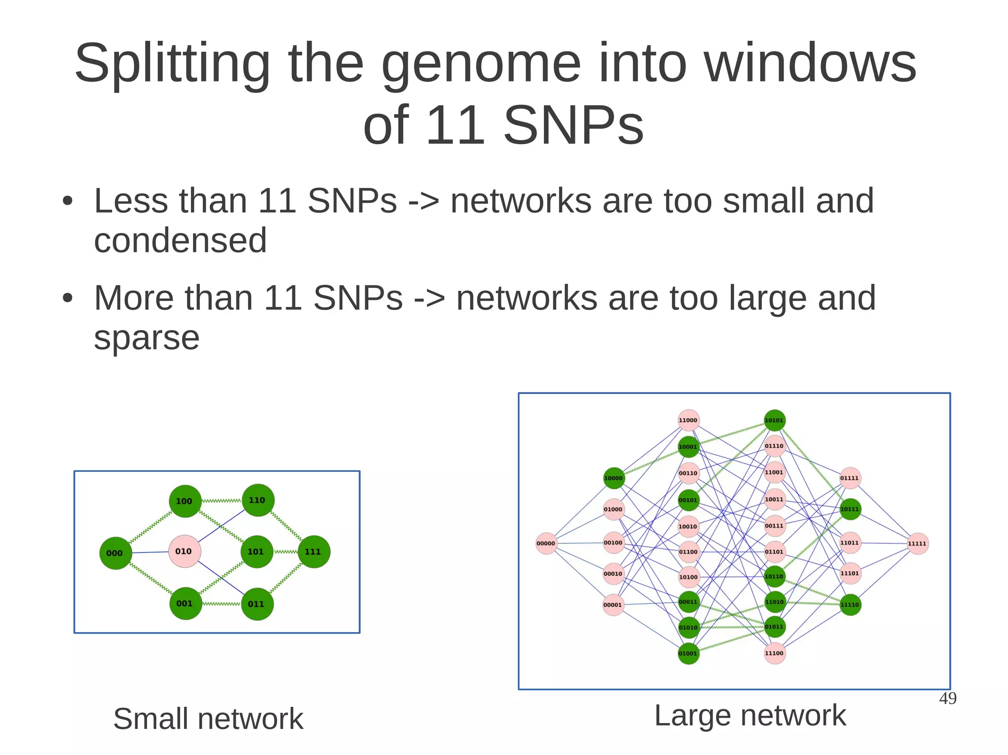 Splitting the genome into windows
of 11 SNPs
●

●

Less than 11 SNPs -> networks are too small and
condensed
More than 11 SNPs -> networks are too large and
sparse

Small network

Large network

49

 
