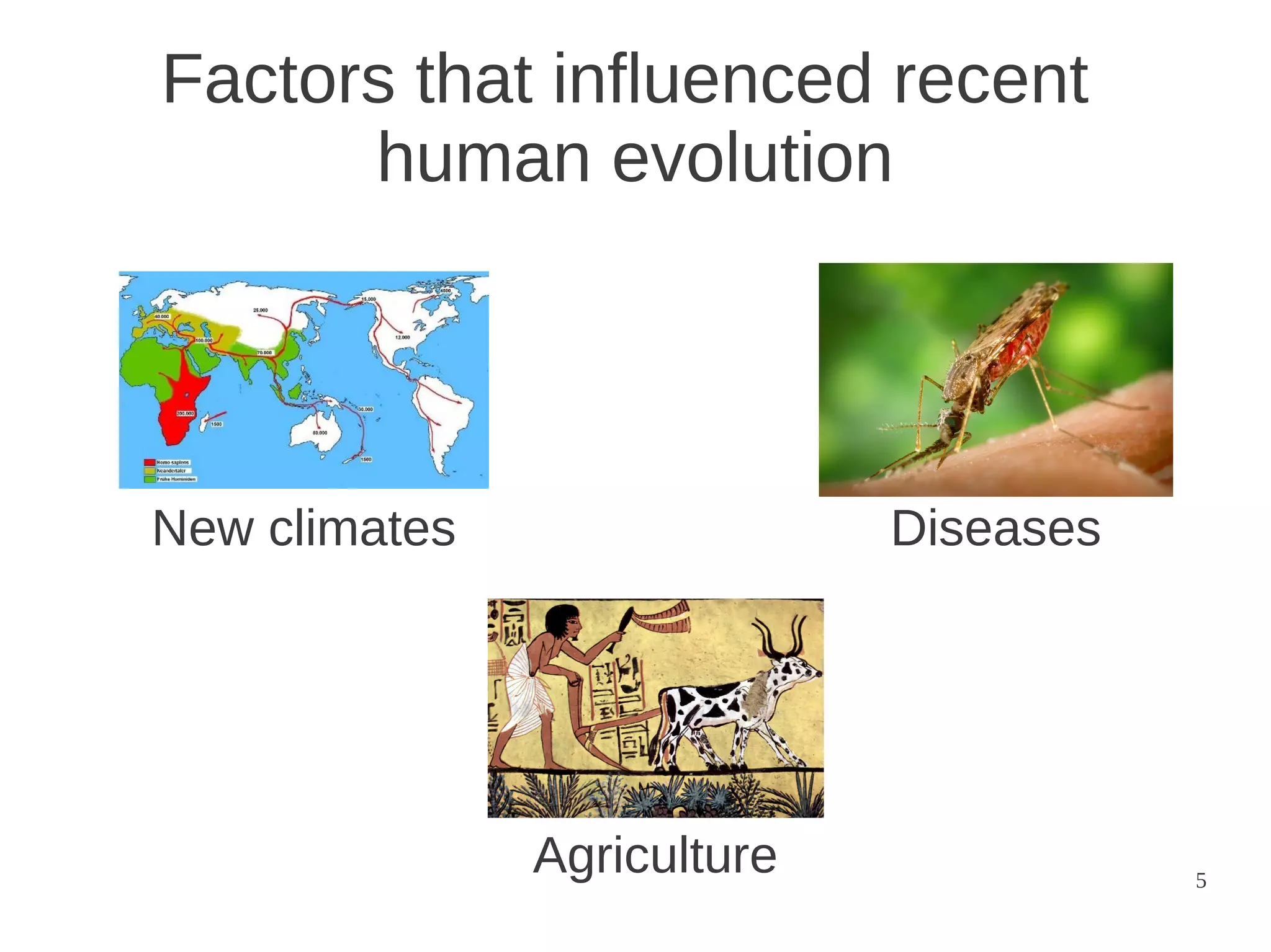 Factors that influenced recent
human evolution

New climates

Diseases

Agriculture

5

 