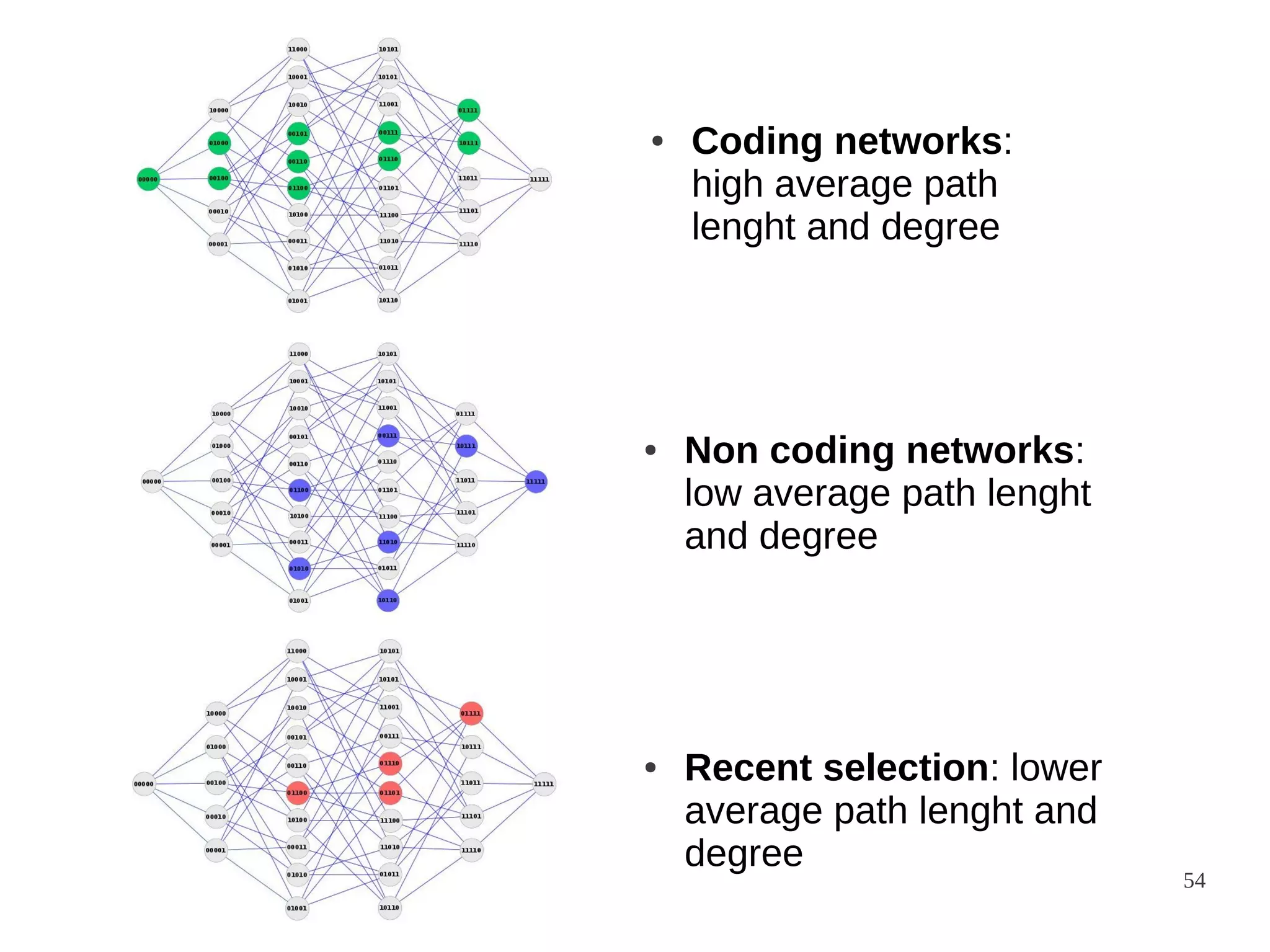 ●

●

●

Coding networks:
high average path
lenght and degree

Non coding networks:
low average path lenght
and degree

Recent selection: lower
average path lenght and
degree

54

 