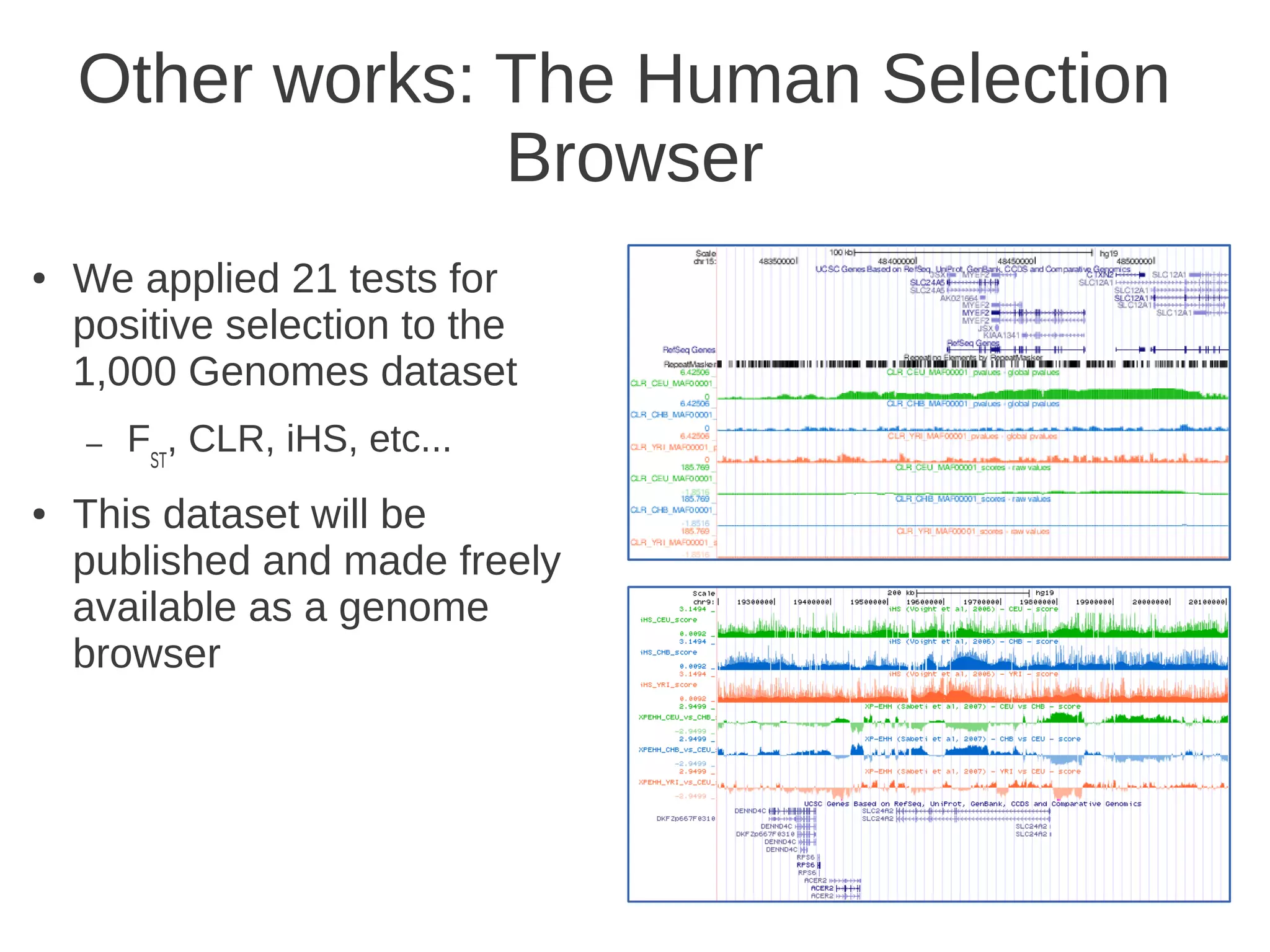 Other works: The Human Selection
Browser
●

We applied 21 tests for
positive selection to the
1,000 Genomes dataset
–

●

FST, CLR, iHS, etc...

This dataset will be
published and made freely
available as a genome
browser

57

 