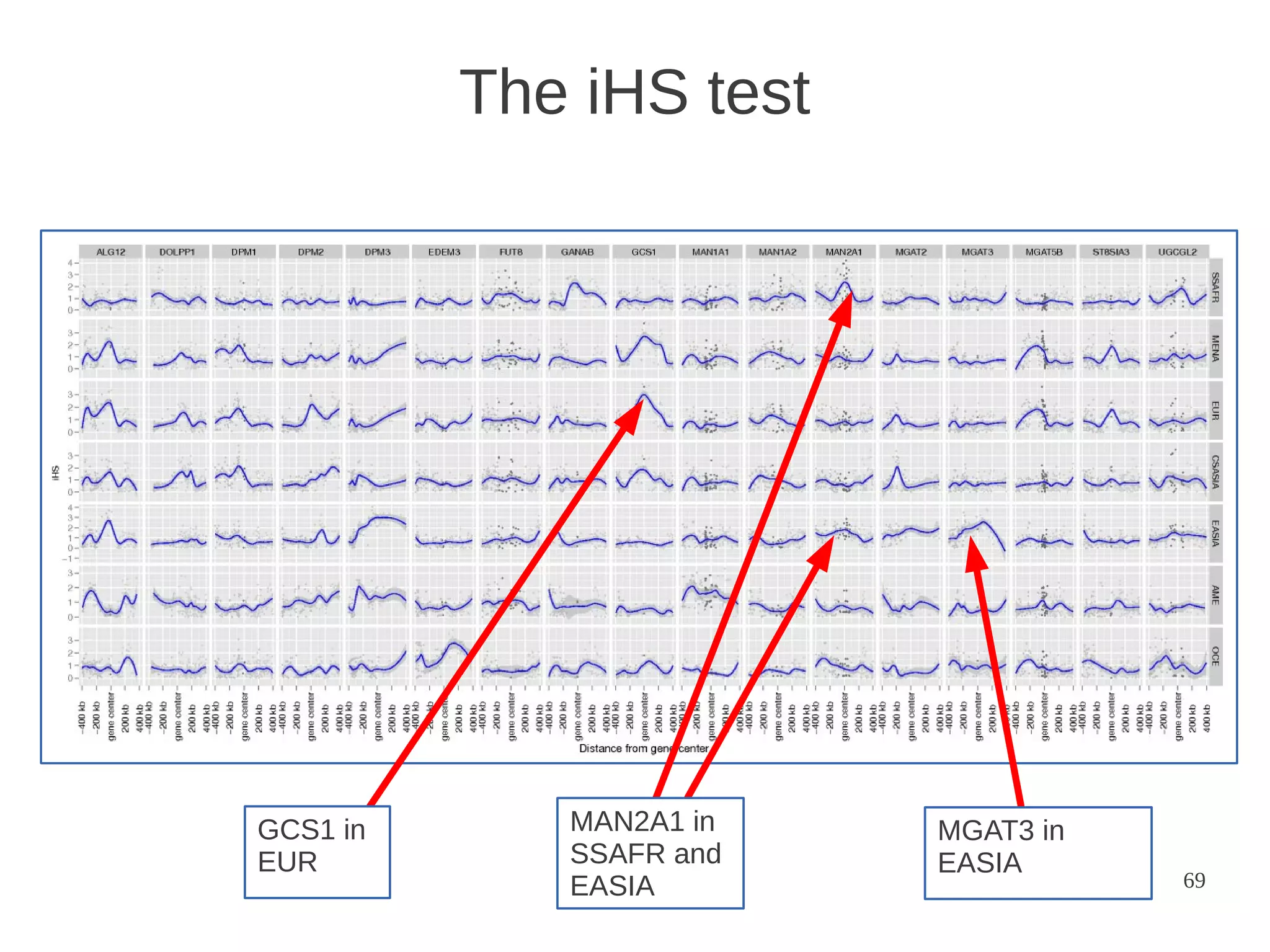 The iHS test

GCS1 in
EUR

MAN2A1 in
SSAFR and
EASIA

MGAT3 in
EASIA

69

 