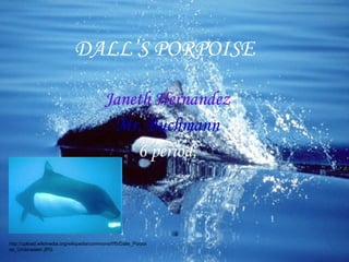 DALL’S PORPOISE Janeth Hernandez Mr. Buchmann 6 period. http://upload.wikimedia.org/wikipedia/commons/f/f5/Dalls_Porpoise_Underwater.JPG 