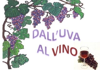 Dall'uva al vino