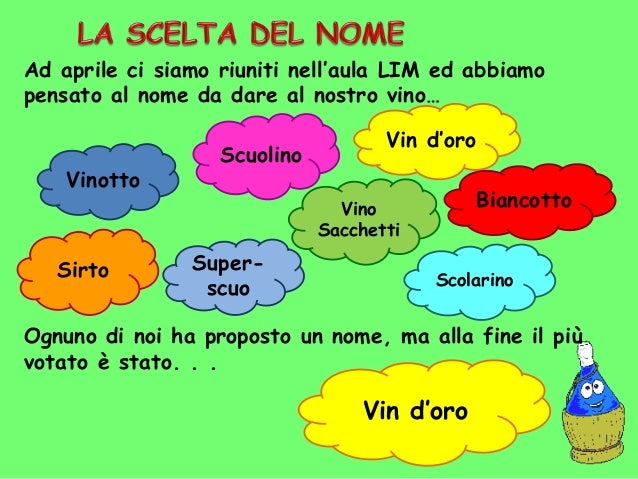Dall'uva al vino per sito scuola
