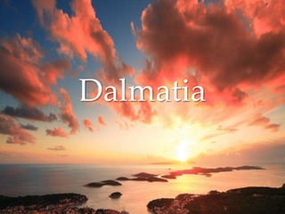 Dalmatia
 