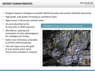 11
 Orogenic deposit; analogous to prolific Abitibi (Canada) and Lachlan Gold Belt (Australia)
 High grade, with grade increasing as confidence does
 High ounces / tonnes per vertical metre
 16 veins identified so far
(5 new ones in 2016 resource)
 Abundance, spacing and
orientation of veins advantageous
for underground mining
 Gold is non-refractory, amenable
to off-the-shelf processing
 Two vein types carry the gold:
D veins (main) and C veins;
only D veins included in resource
DEPOSIT CHARACTERISTICS
V-75 vein Each square of the screen is 4 inches wide
 