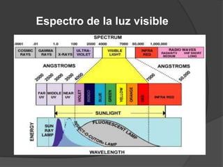 Espectro de la luz visible