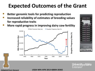 Expected Outcomes of the Grant
 Better genomic tools for predicting reproduction
 Increased reliability of estimates of breeding values
for reproductive traits
 More rapid progress in improving dairy cow fertility
20
24
28
32
10,000
15,000
20,000
25,000
30,000
1950 1960 1970 1980 1990 2000 2010
DaughterPregnancyRate(%)
MilkProduction(lbs)
Year
Milk Production Rate (lbs) Daughter Pregnancy Rate (%)
(Adapted from Hansen) USDA NIFA AFRI 2013-68004-20365
 