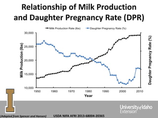 Relationship of Milk Production
and Daughter Pregnancy Rate (DPR)
20
24
28
32
10,000
15,000
20,000
25,000
30,000
1950 1960 1970 1980 1990 2000 2010
DaughterPregnancyRate(%)
MilkProduction(lbs)
Year
Milk Production Rate (lbs) Daughter Pregnancy Rate (%)
(Adapted from Spencer and Hansen) USDA NIFA AFRI 2013-68004-20365
 