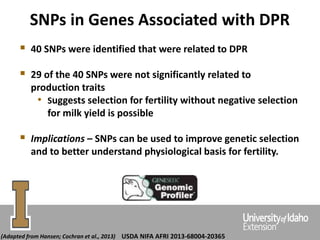 SNPs in Genes Associated with DPR
 40 SNPs were identified that were related to DPR
 29 of the 40 SNPs were not significantly related to
production traits
• Suggests selection for fertility without negative selection
for milk yield is possible
 Implications – SNPs can be used to improve genetic selection
and to better understand physiological basis for fertility.
(Adapted from Hansen; Cochran et al., 2013) USDA NIFA AFRI 2013-68004-20365
 