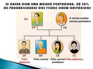 SE CASAR COM UMA MULHER PORTADORA, HÁ 50%
DE PROBABILIDADES DOS FILHOS SEREM DALTÓNICOS


           EU                                   A minha mulher
                                                normal portadora




         Filho     Filho normal Filha normal Filha daltónica
       daltónico                 portadora
 