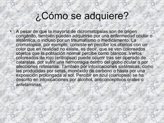 ¿Cómo se adquiere?
•   A pesar de que la mayoría de dicromatopsias son de origen
    congénito, también pueden adquirirse por una enfermedad ocular o
    sistémica, o incluso por un traumatismo o medicamento. La
    cromatopsia, por ejemplo, consiste en percibir los objetos con un
    color que en realidad no existe, es decir, que se ven coloreados
    objetos que la población normal percibe como blancos. Verlos
    coloreados de rojo (eritropsia) puede ocurrir tras ser operado de
    cataratas, por sufrir una hemorragia dentro del globo ocular o por
    afecciones retinianas. También por intoxicaciones sistémicas, como
    las producidas por setas, monóxido de carbono o hasta por una
    exposición prolongada al sol. Percibir en azul (cianopsia) se ha
    descrito en intoxicaciones por alcohol, anticonceptivos orales o
    anfetaminas.
 